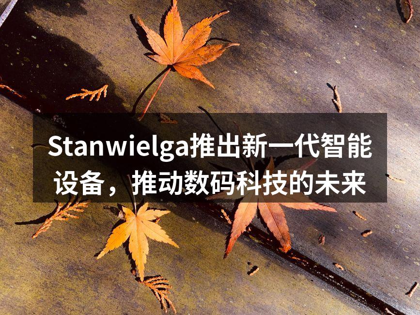 Stanwielga新一代智能设备一览